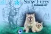 Snow Furry*Pl